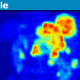 pet_scan-80x80.png