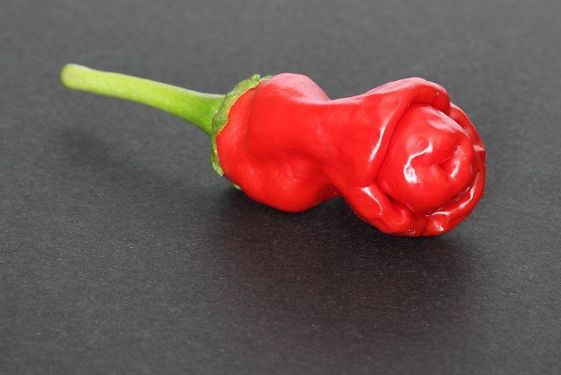 peter-pepper2.jpg