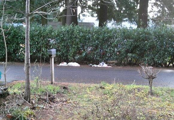 pf.2014.12.12.1415.trashy.1st.world.problems.jpg