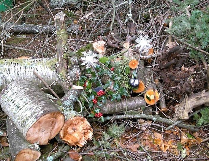 pf-2014-12-13-1303-xmas-decos-jpg.76578.jpg