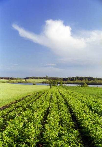 Photo34.jpg