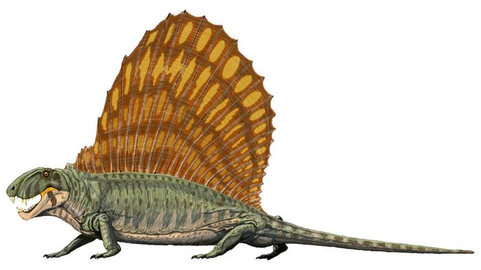 php?image=https%3A%2F%2Fupload.wikimedia.org%2Fwikipedia%2Fcommons%2F5%2F5e%2FDimetrodon_grandis.jpg