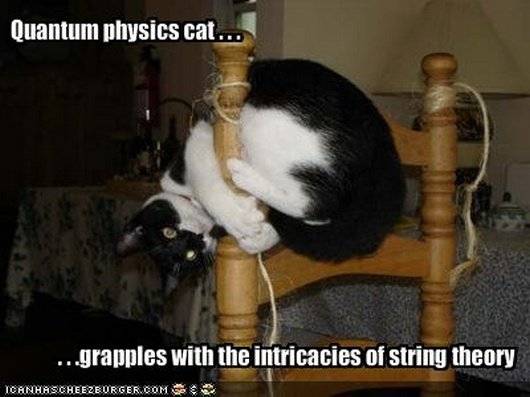 phyics-lolcat.jpg