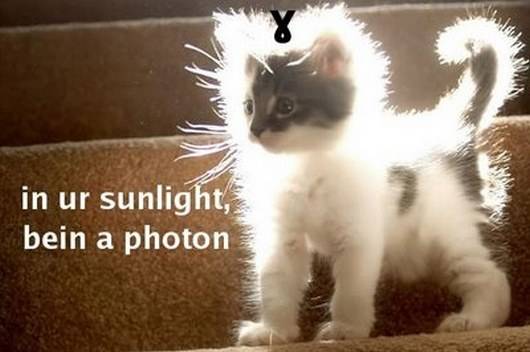 physics-lolcat.jpg