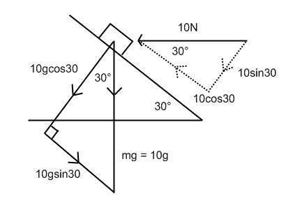 pic1.jpeg