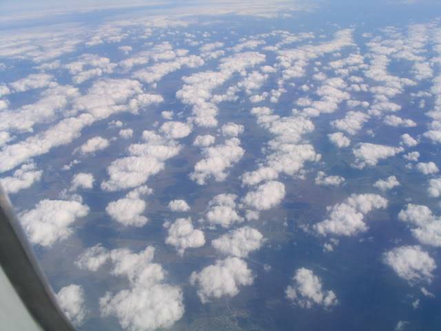 Picture572.jpg