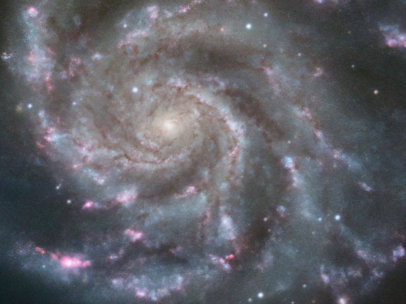 Pinwheel2022_Final_SmallCropForPF.jpg