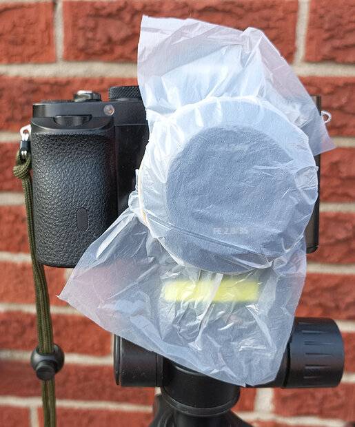 Plastic bag.jpg