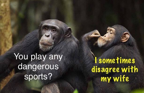 play dangerous sports.jpg
