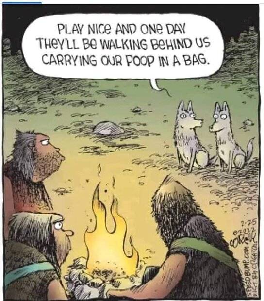 Play nice.jpg