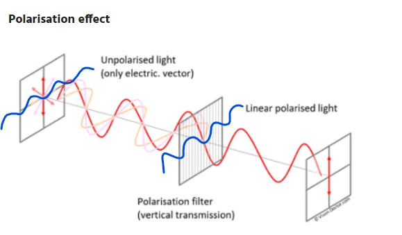 polarization negative.webp