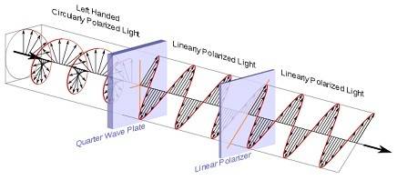 polarized_light.jpg