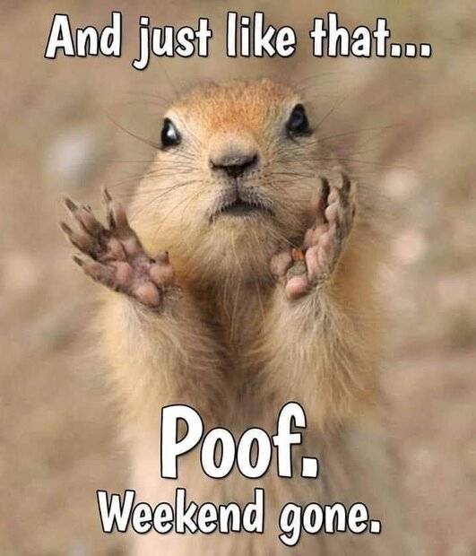 Poof Weekend Gone.jpg