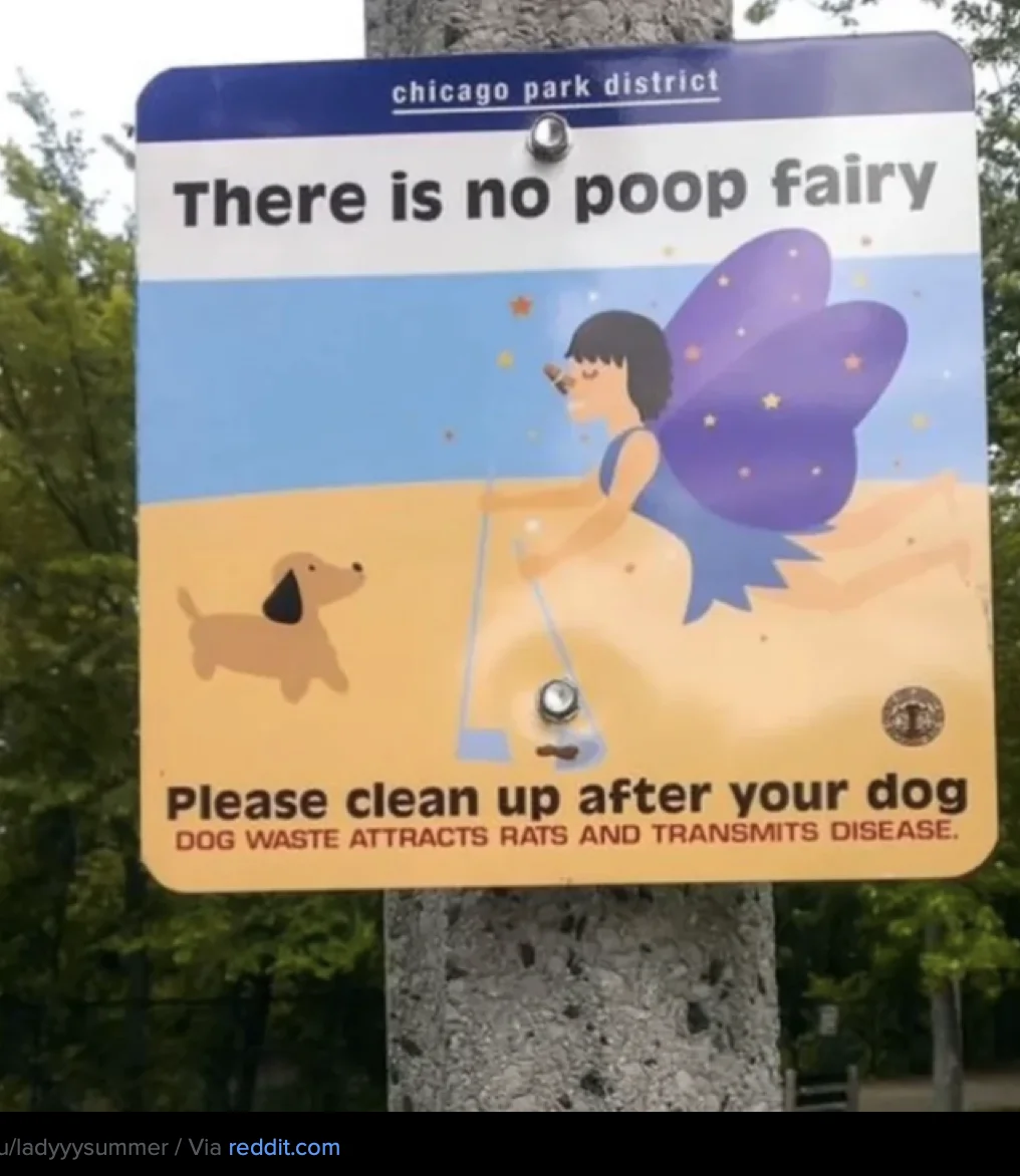 poopfairy.webp