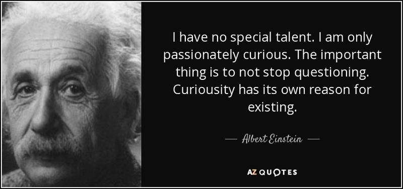 portant-thing-is-to-not-albert-einstein-139-3-0334.jpg
