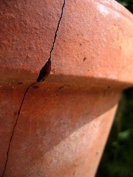 pot-1469328_960_720.jpg