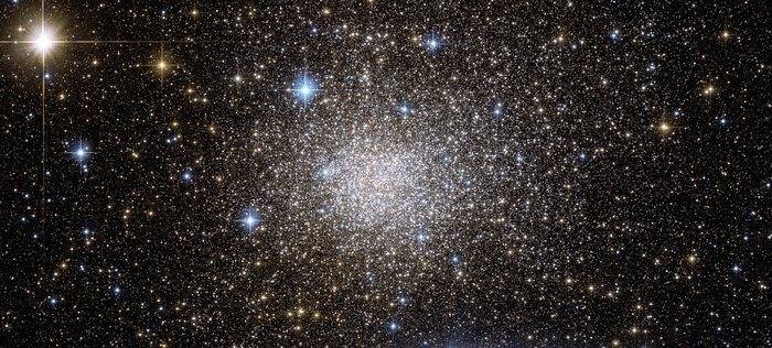 potw1121a.jpg
