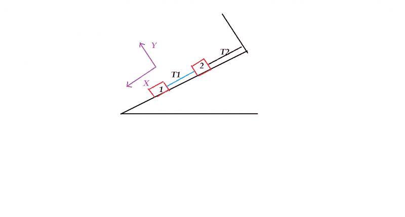 PP3.png