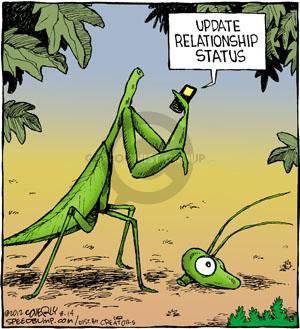 Praying Mantis (3).jpg