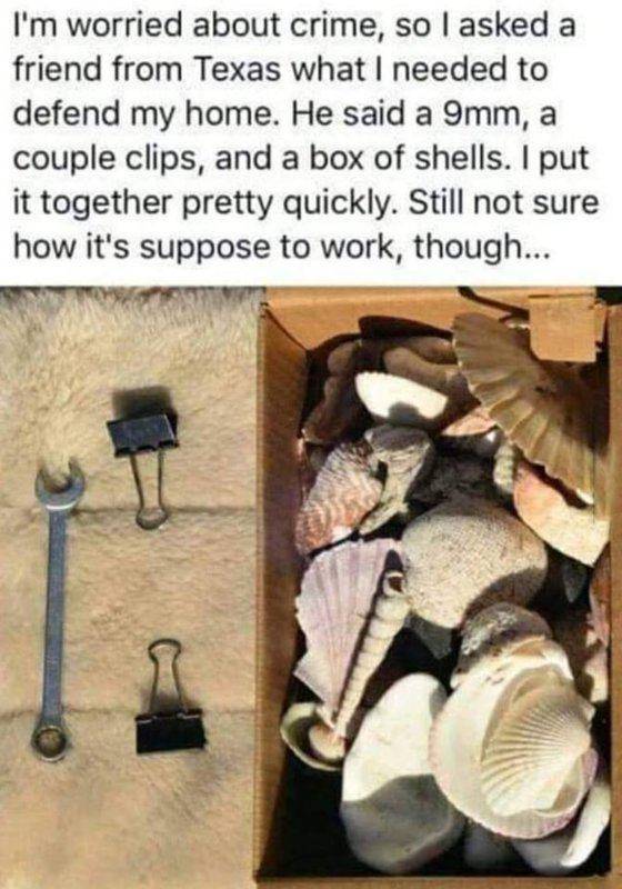 protecting my home.jpg
