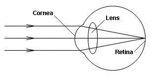 proxy.php?image=http%3A%2F%2Fwww.physchem.co.za%2FOB11-wav%2Fgraphics%2Feye_f2.gif