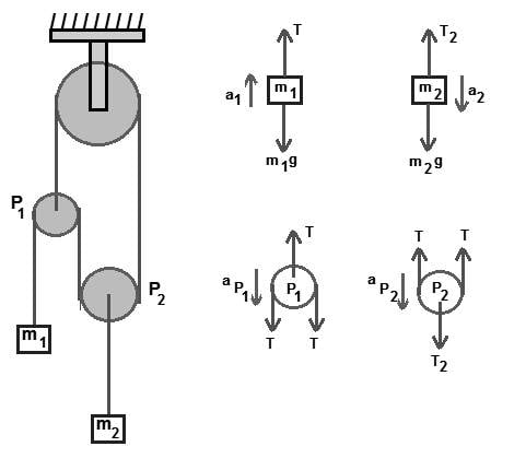 pulle.jpg