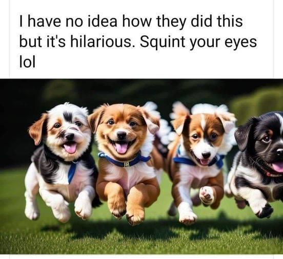 puppies.jpg