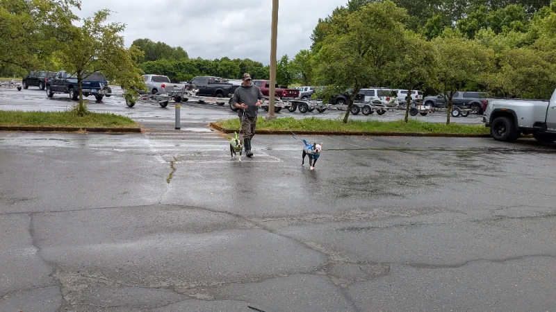 PXL_20250517_175339319.webp