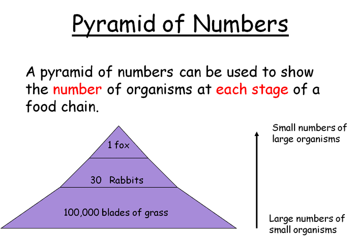 pyramid-of-numbers.png