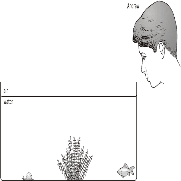 Qsbpq9uJtSjjW9u02cfB15hCV8Ru_UDyGOr6EARDLDXQzEpUYeWlcg_XBTdwS863jFltmT7FF4b_iHfnRVnKXNREgjMZyCGo.png