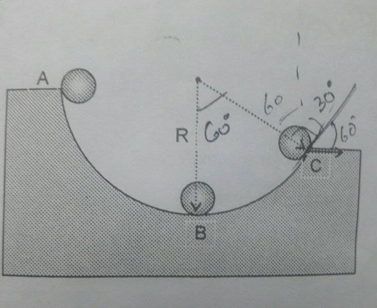 question 2.jpg