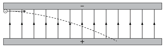 245982
