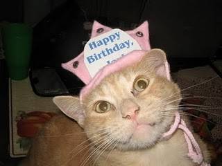 rage_the_happy_birthday_cat_happy_birthday_ember_wooo-s320x240-189180-580.jpg