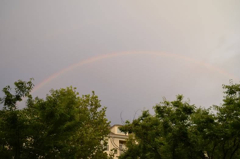 Rainbow.jpg