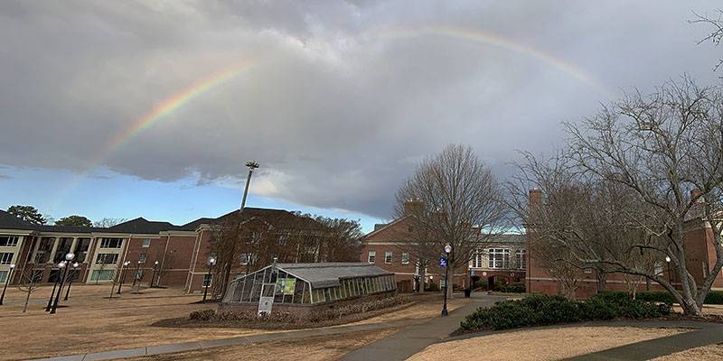 rainbow.jpg
