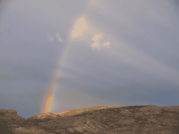 RAINBOW_RAYS.png
