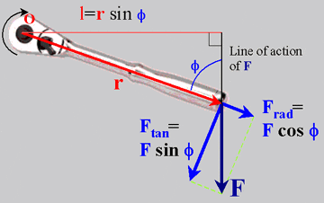 ratchetdiagram.gif