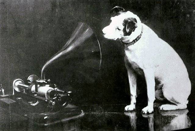 realhmv.jpg