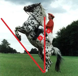 Rearing horse.webp