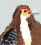 RedbellyAvatar_Evo-cropped.gif