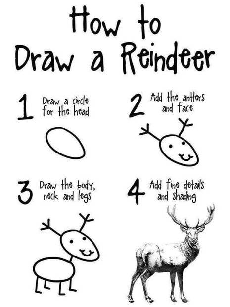 Reindeer.jpg