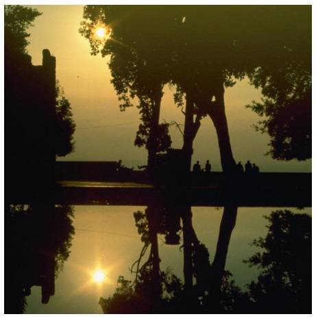 Reversed picture.jpg
