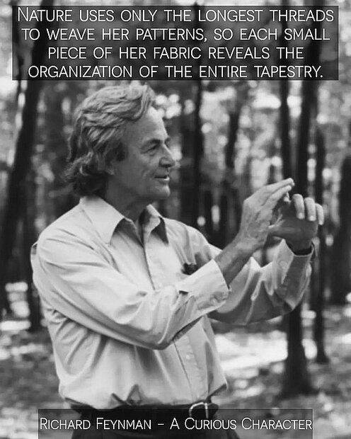 RichFeynman_NaturesLongThreads .jpg