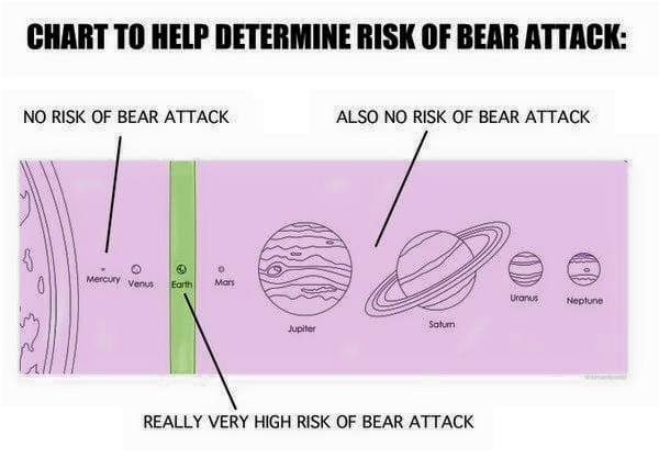 risk of bear attack.jpg