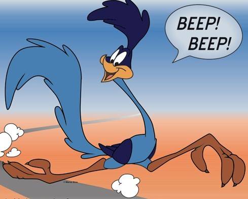 road-runner.jpg