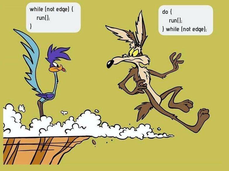 road-runner.jpg