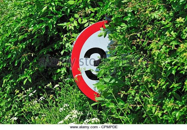road-traffic-speed-limit-sign-obscured-by-hedge-cpmpde.jpg
