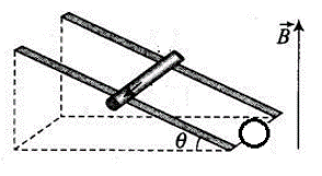 245561