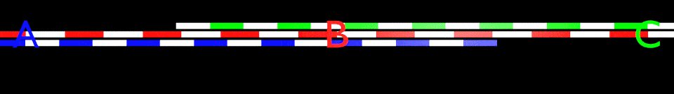 rodsb.gif