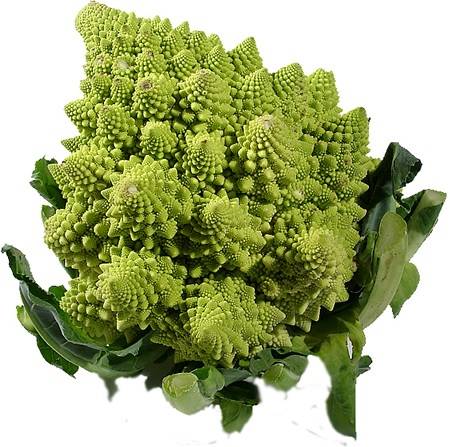 romanesco.jpg